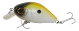 KastKing Brand 2017 New Madbite Miga 5cm 7g Crankbait Hard Fishing Baits 8 Colors Floating Jerkbait Hard Carp Lures Bait