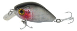 KastKing Brand 2017 New Madbite Miga 5cm 7g Crankbait Hard Fishing Baits 8 Colors Floating Jerkbait Hard Carp Lures Bait
